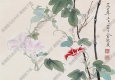 俞致貞國(guó)畫(huà)作品 牽牛花蜜蜂 高清下載