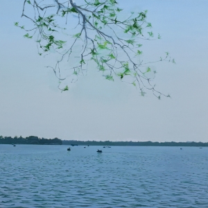 葉恒貴湖邊水景風景油畫《風景》欣賞