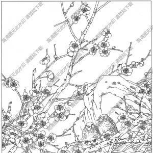 梅花白描圖片7高清下載