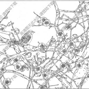 梅花白描線稿14高清圖片下載