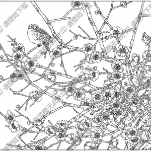 梅花白描線稿18高清圖片下載