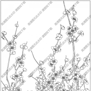 梅花白描線稿31高清圖片下載