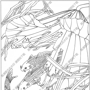 魚線描畫底稿7高清大圖下載