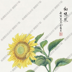 俞致貞國畫作品 向陽花2 高清下載