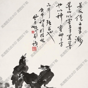 蔣風(fēng)白國(guó)畫(huà) 花鳥(niǎo)圖2 高清大圖下載