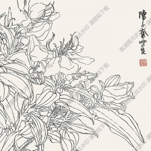 陳子奮國(guó)畫 白描花卉 (1) 高清大圖下載