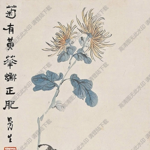 陳鴻壽國(guó)畫 菊有黃花蠏正肥 高清大圖下載