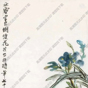 汪亞塵國(guó)畫(huà) 花香蛙鳴圖 高清大圖下載