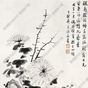 吳華源國(guó)畫 菊石圖 高清大圖下載